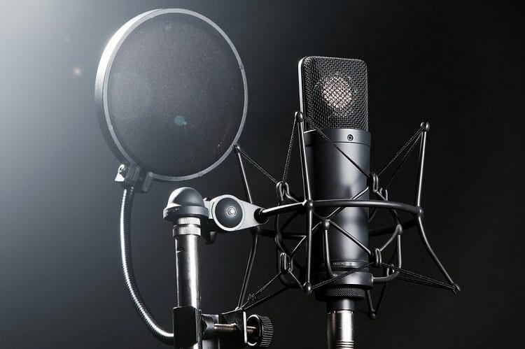 Microphone Pop Filter