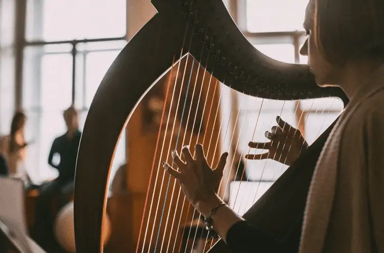 #8 Harp